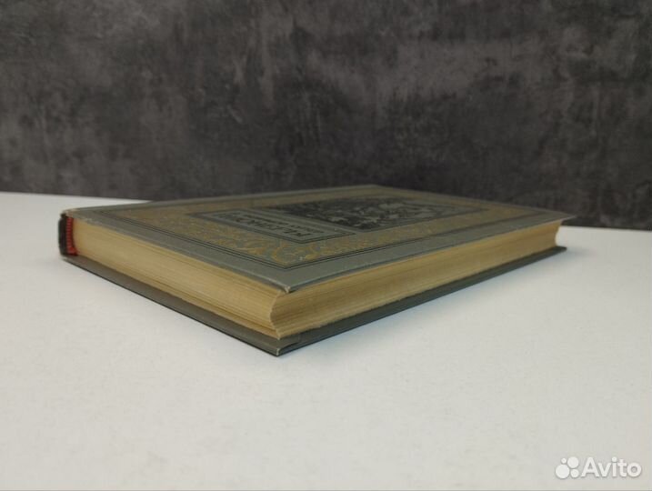 Д. Фенимор Купер. Пионеры. Рамка