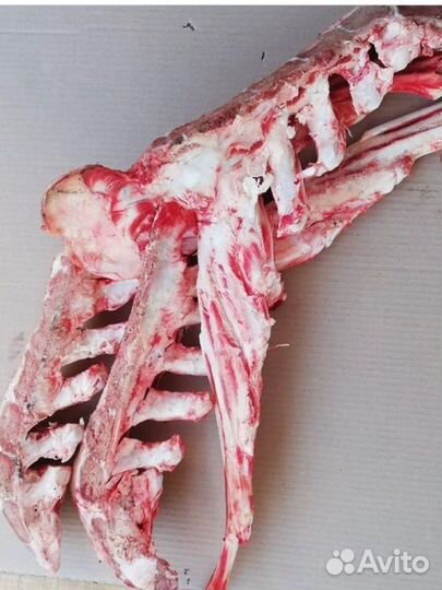 Кости для собак, мясо для собак