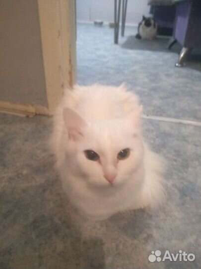 Снежинка