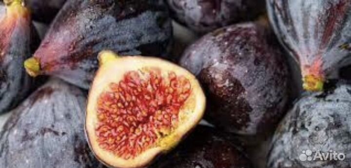 Очищающий Сбор трав/Фито-чай с Инжиром