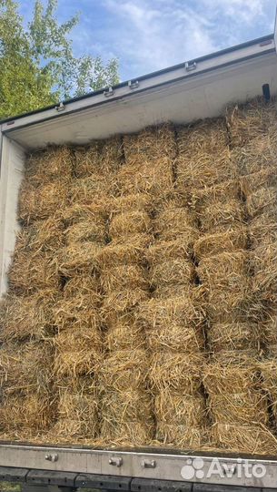 Солома в тюках (пшеничная, овсяная) с доставкой