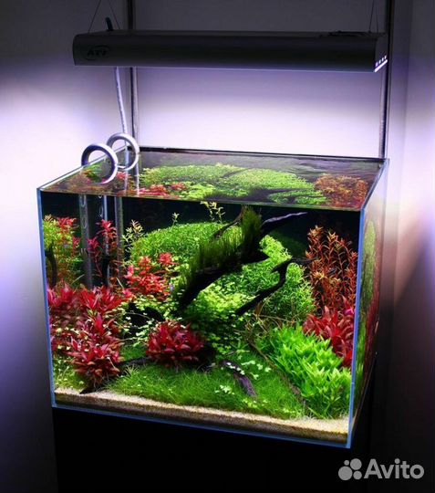 Оформление аквариума, акваскейп