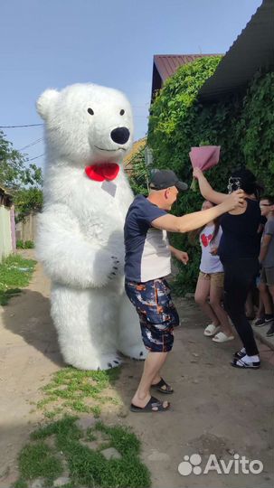 Белый мишка на поздравление