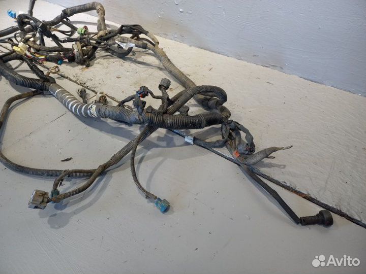 Проводка двигателя Suzuki Grand Vitara J20A 2011