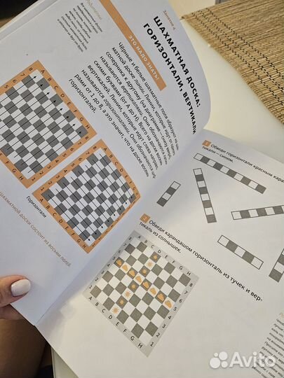 Бронь Шахматы с енотом. Рабочая тетрадь #1