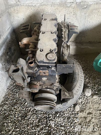 Мотор каенз 5.9 хайгер автобус