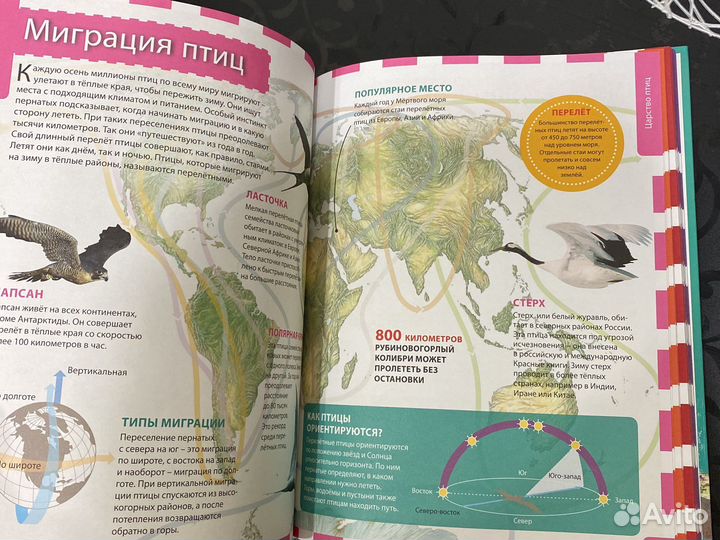 Энциклопедия для школьников