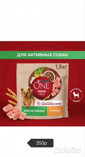 Сухие и влажные корма для собак и кошек