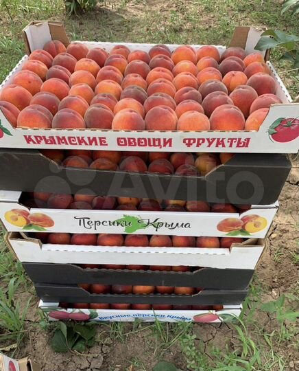 Участок 7,24 га (СНТ, ДНП)