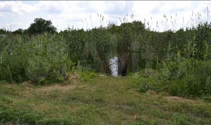 Участок 45 сот. (СНТ, ДНП)