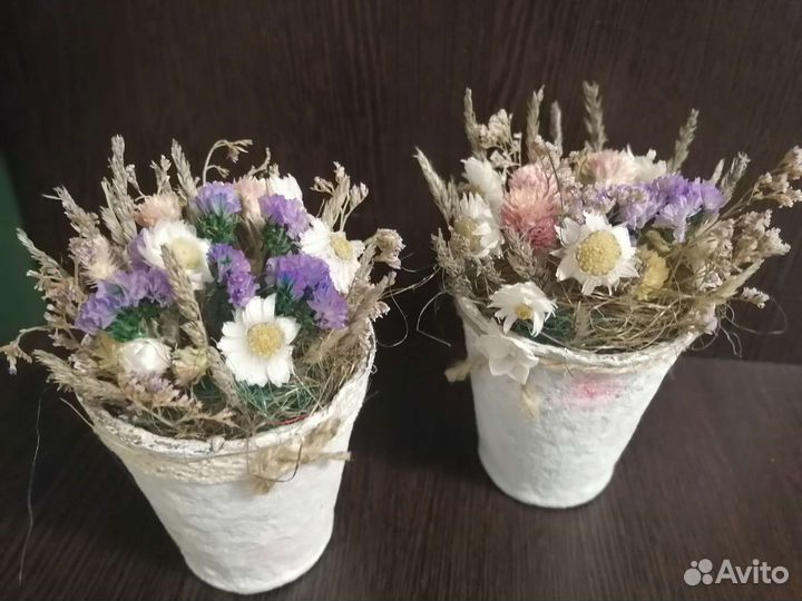 Лаванда в горшочках