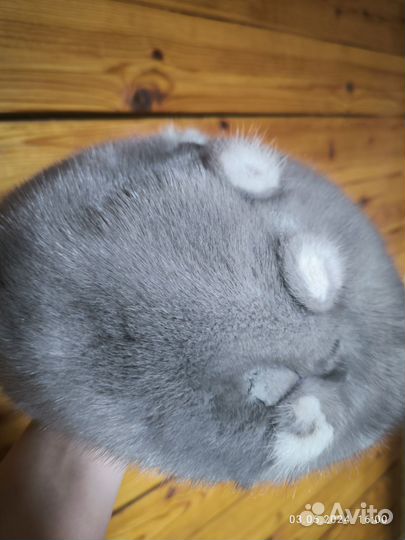 Зимние шапки натуральный мех