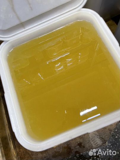 Донниковый свежий натуральный мёд Качка 2023г Опто