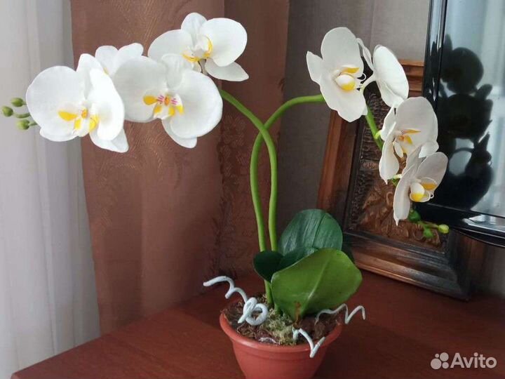 Орхидеи из полимерной глины