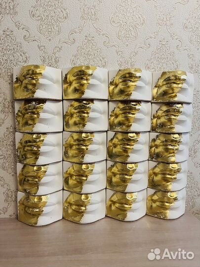 Кашпо органайзер Губы Давида