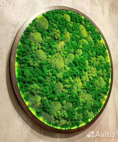 Стабилизированный мох от производителя