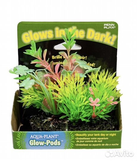 Растение в аквариум новый