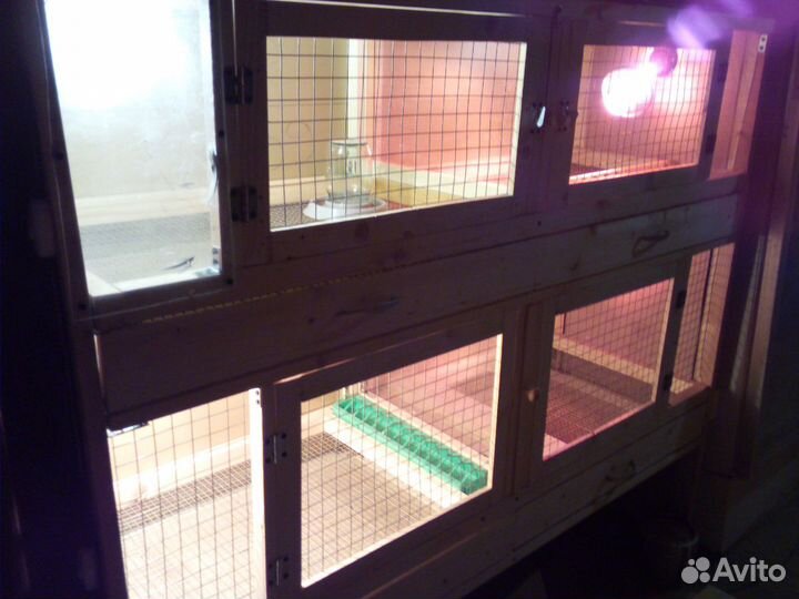 Брудер для подращивания