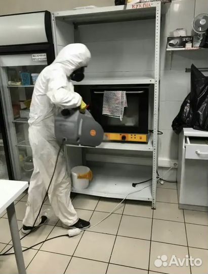 Уничтожение клопов тараканов блох клещей муравьёв