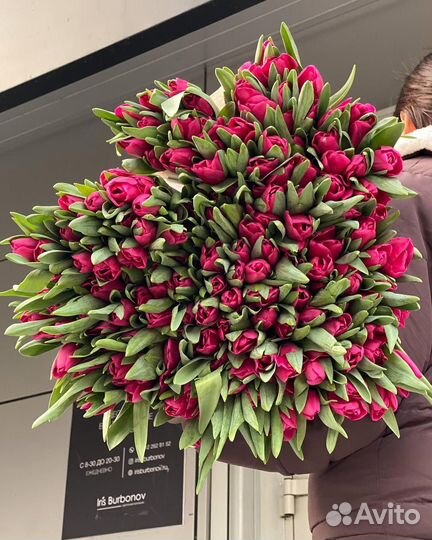Тюльпаны/ букеты тюльпан