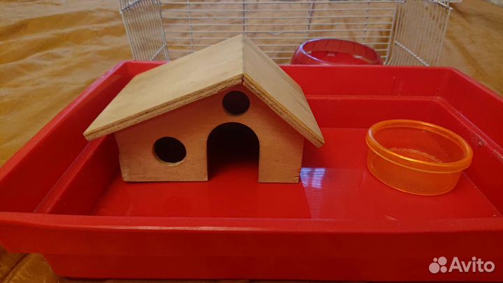 Клетка для джунгарского хомяка