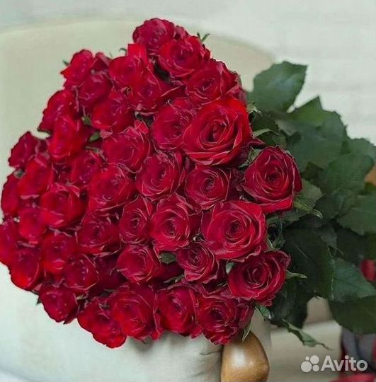101 роза цветы букеты доставка 25 51 101 роза