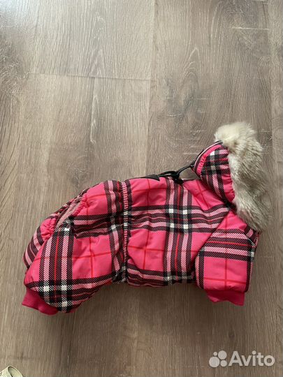 Одежда для маленьких собак