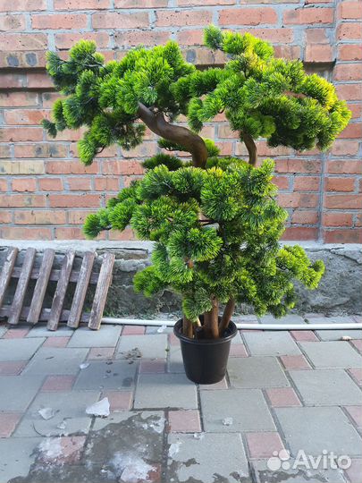 Бонсай искусственный / дерево для дома