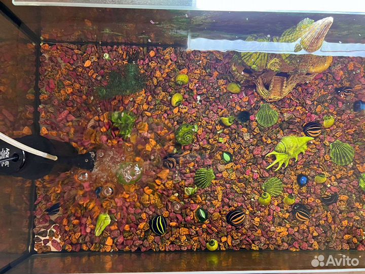 Украшение и аквариум