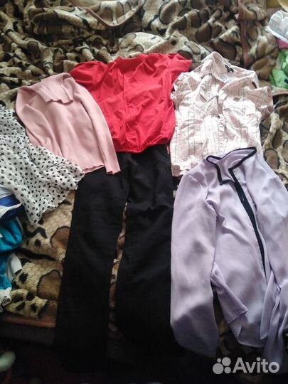 Женская одежда