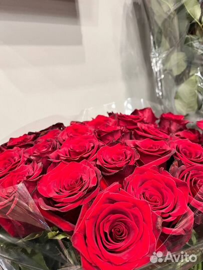 Свежие лепестки роз