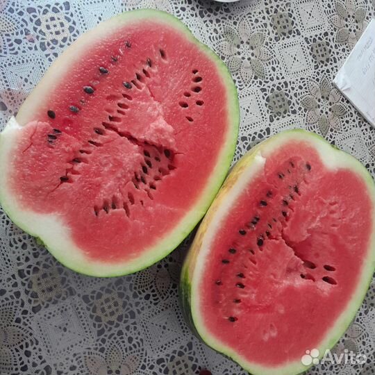 Арбуз