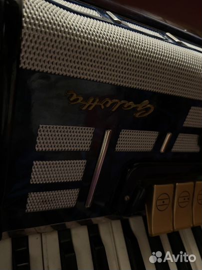 Аккордеон galotta