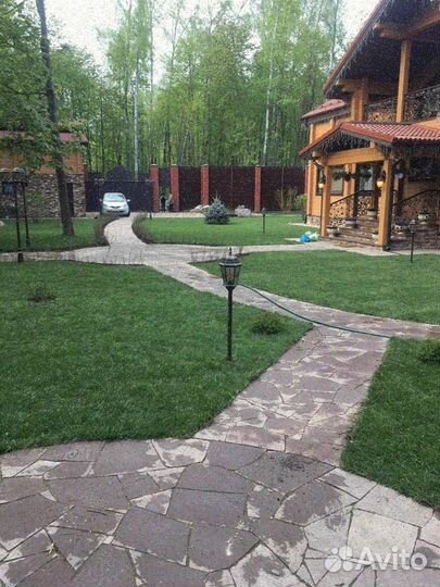 Рулонный газон