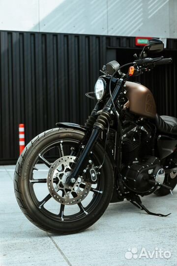 Harley Davidson Sportster 883 2022
