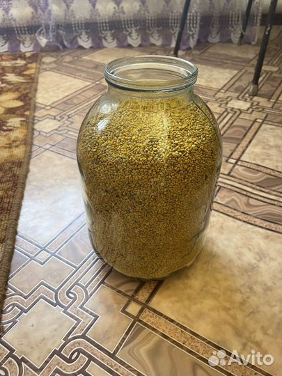 Пчелиная пыльца