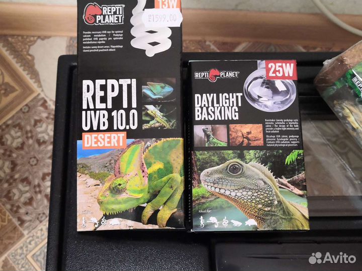 Набор для черепашек