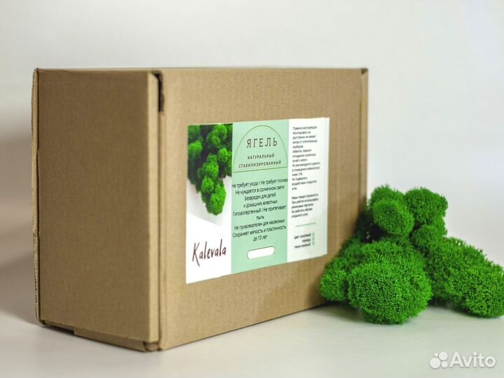 Декоративный мох 100 гр