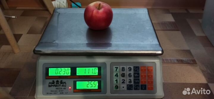 Торг. оборуд-е: весы цифр., денежный ящик, крючки