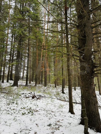 Участок 12,8 сот. (ИЖС)