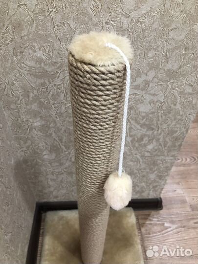 Когтеточка