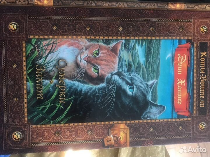 Коты воители 4/3 части 2 цикла