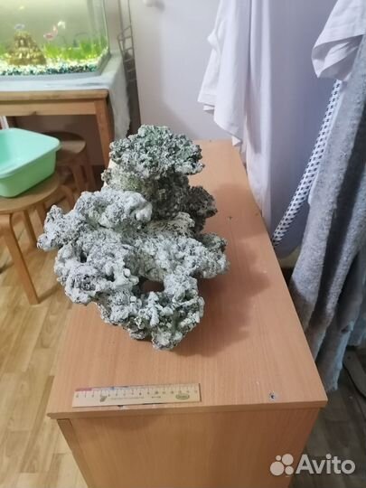 Декорации в аквариум коралл