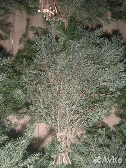 Пихтовые веники для бани