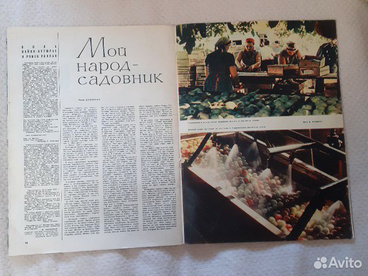 1962 год, журнал Огонек #42, сентябрь