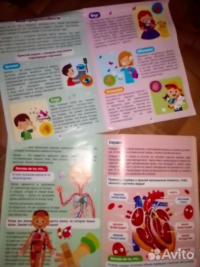 Развивающий пазл Моё тело