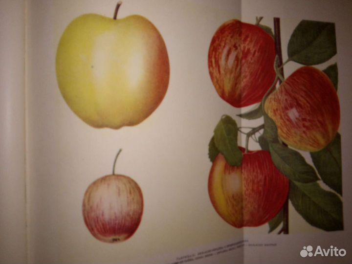 Всякие книги