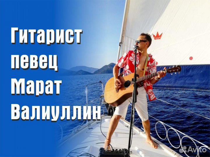 Гитарист, певец, пианист, баянист, губная гармошка