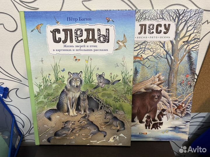 Петр Багин В лесу, Следы, новые