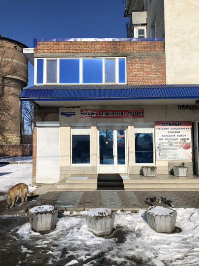 Торговая площадь, 180 м²